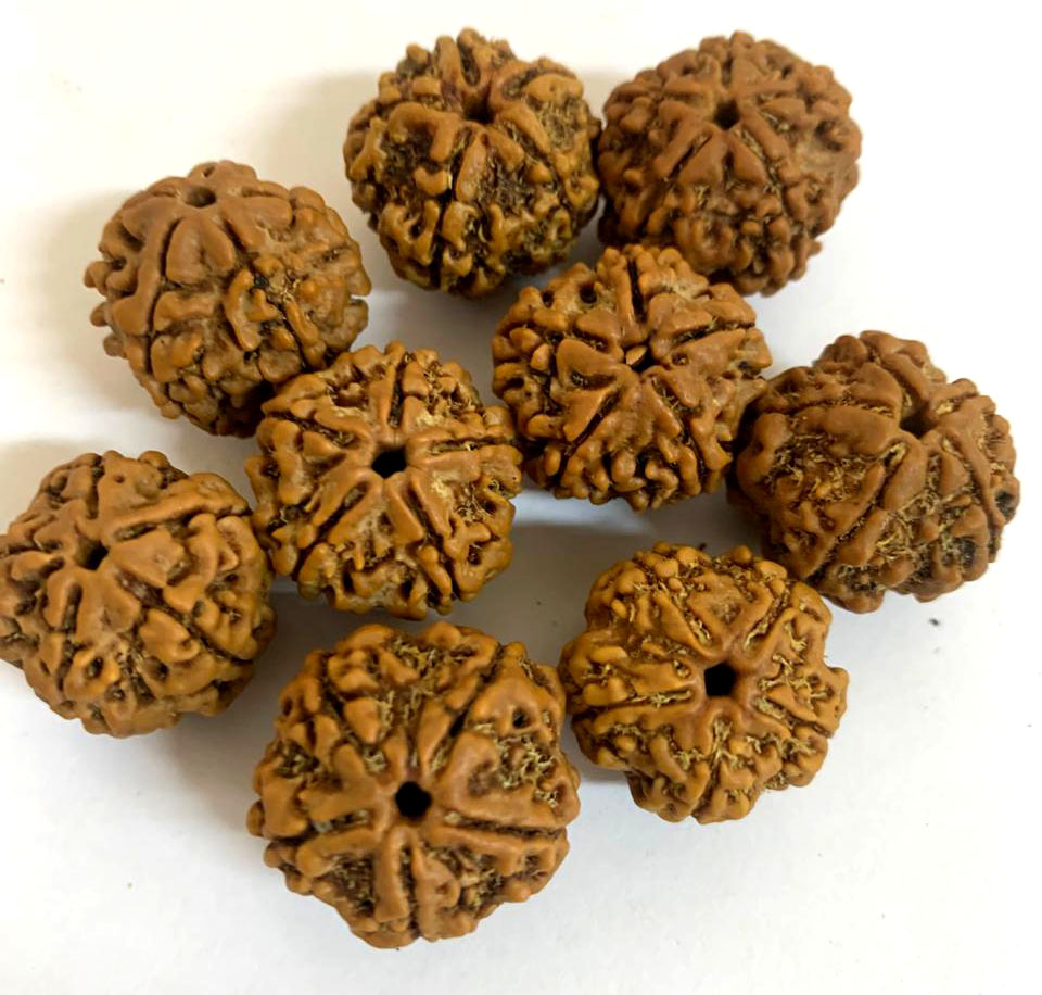 Bologna